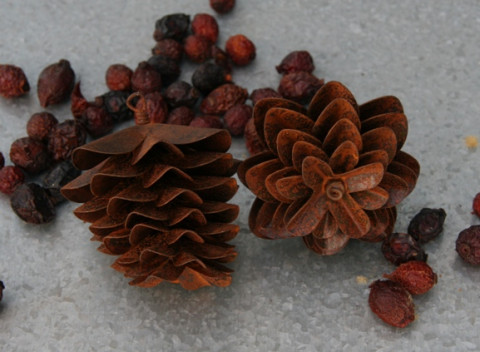 RUSTY PINECONE 2 SIZE 1.75 & 3"