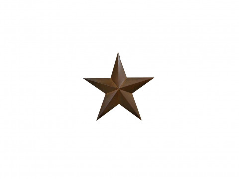 RUSTY 3D STAR 12"