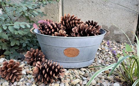 LARGE GRAY ZINC OVAL WASH TUB WITH COPPER PLAQUE