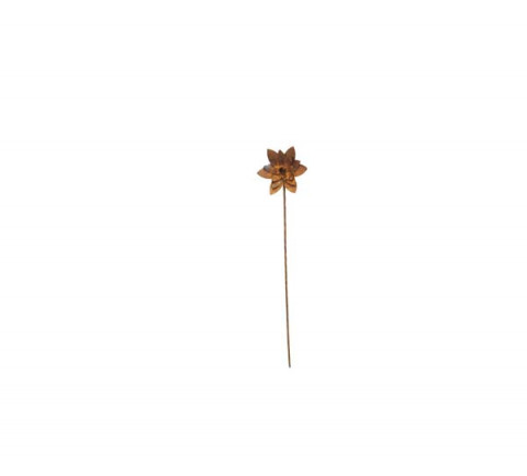SMALL RUSTY WATER LILY  PICK