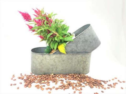 GRAY ZINC OVAL TUBS W/RIBS 