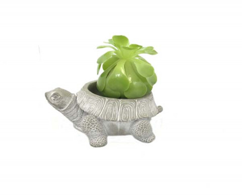 TURTLE CONCRETE PLANTER 6.75"X5.25"X2.5"