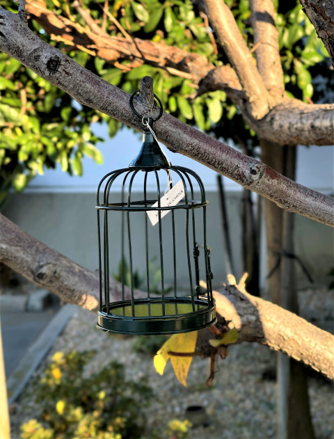 HUNTER GREEN WIRE MINI BIRD CAGE 6.5"Hx3.25"W