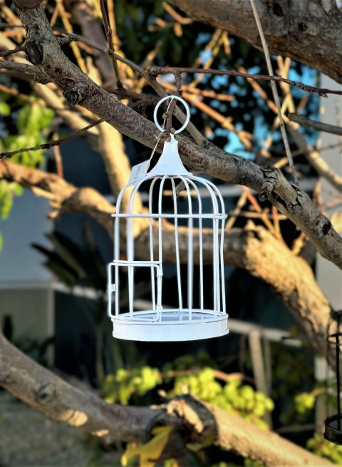 WHITE WIRE MINI BIRD CAGE 6.5"Hx3.25"W